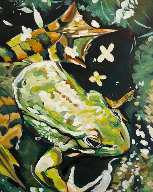 Ripples of Tranquility